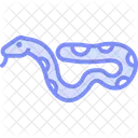Boa Constrictor Ícone