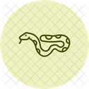 Jiboia Jiboia Reptil Ícone