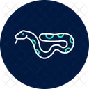 Jiboia Jiboia Reptil Ícone