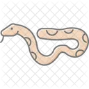 Boa constrictor  Icon