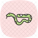 Boa Constrictor Boaconstrictor Reptile Icon