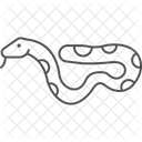 Boa Constrictor Boaconstrictor Reptile Icon