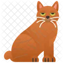 Bob pixie  Ícone