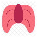 Boca Garganta Organo Icono