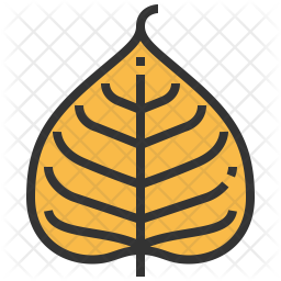 Bodhi Icon