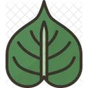 Bodhi Leaf Plant Icon