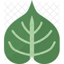Bodhi Leaf Plant Icon