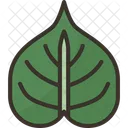 Bodhi Leaf Plant Icon
