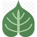 Bodhi Leaf Plant Icon