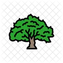 Bodhi Tree Buddhism Icon