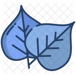 Bodhi Leaf  Icon