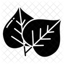 Bodhi Leaf Foliage Bodhi Icon