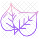 Bodhi Leaf Foliage Bodhi Icon