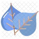 Bodhi Leaf Foliage Bodhi Icon