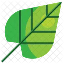 Bodhi Leaves  Icon