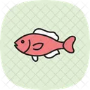 Bodiao Oceano Marinho Ícone