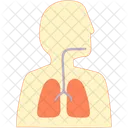 Body Anatomy Anatomy Medical Icon