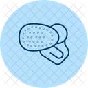 Body brush  Icon