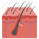 Body hair  Icon