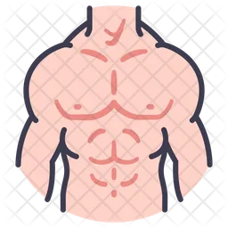 Body male muscle  Icon