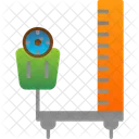 Body Mass Index  Icon