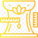 Body measurements  Icon
