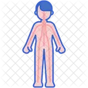 Body Meridians Body Healthy Icon