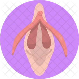 Body Organ  Icon