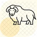 Musc Icône