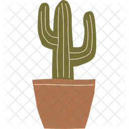 Cactus bohemio  Icono