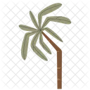 Boho Summer Palm Tree Icon
