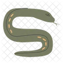 Boho Summer Snake Icon