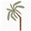 Palmera Boho Verano Icono