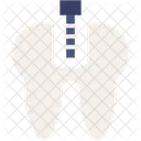 Bohrer Zahnarzt Pflege Symbol