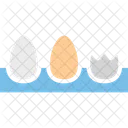 Breakfast Eggs Eggs Box Icon