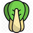 Bok Choy Vegetable Veggie Icon