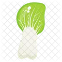 Vegetable Leafy Vegetable Food Icon