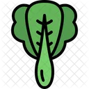 Bok Choy  Icon