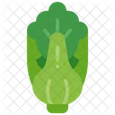 Bok Choy Vegetable Cabbage Icon
