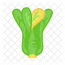 Bok Choy Chinese Superfood Icon