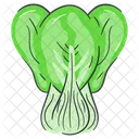 Bok Choy Food Vegetable Icon