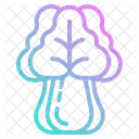 Bok Choy  Icon