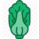 Bok choy  Icon