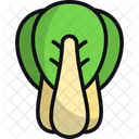 Bok choy  Icon
