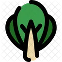 Bok choy  Icon