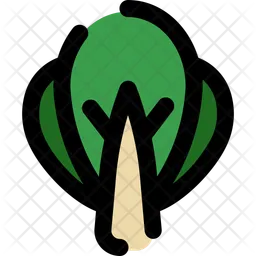 Bok choy  Ícone