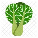 Bokchoy  Icon