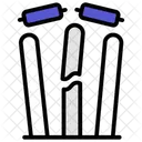 Bold Wicket Stumps Icon