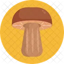 Mushrooms Bolete Mushroom Icon