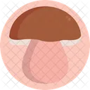 Mushrooms Bolete Mushroom Icon